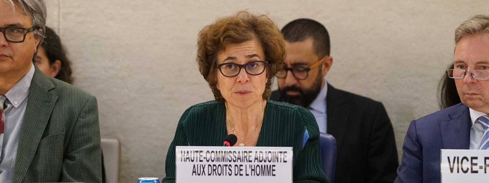 UNHRC alarmed over the use of draconian laws